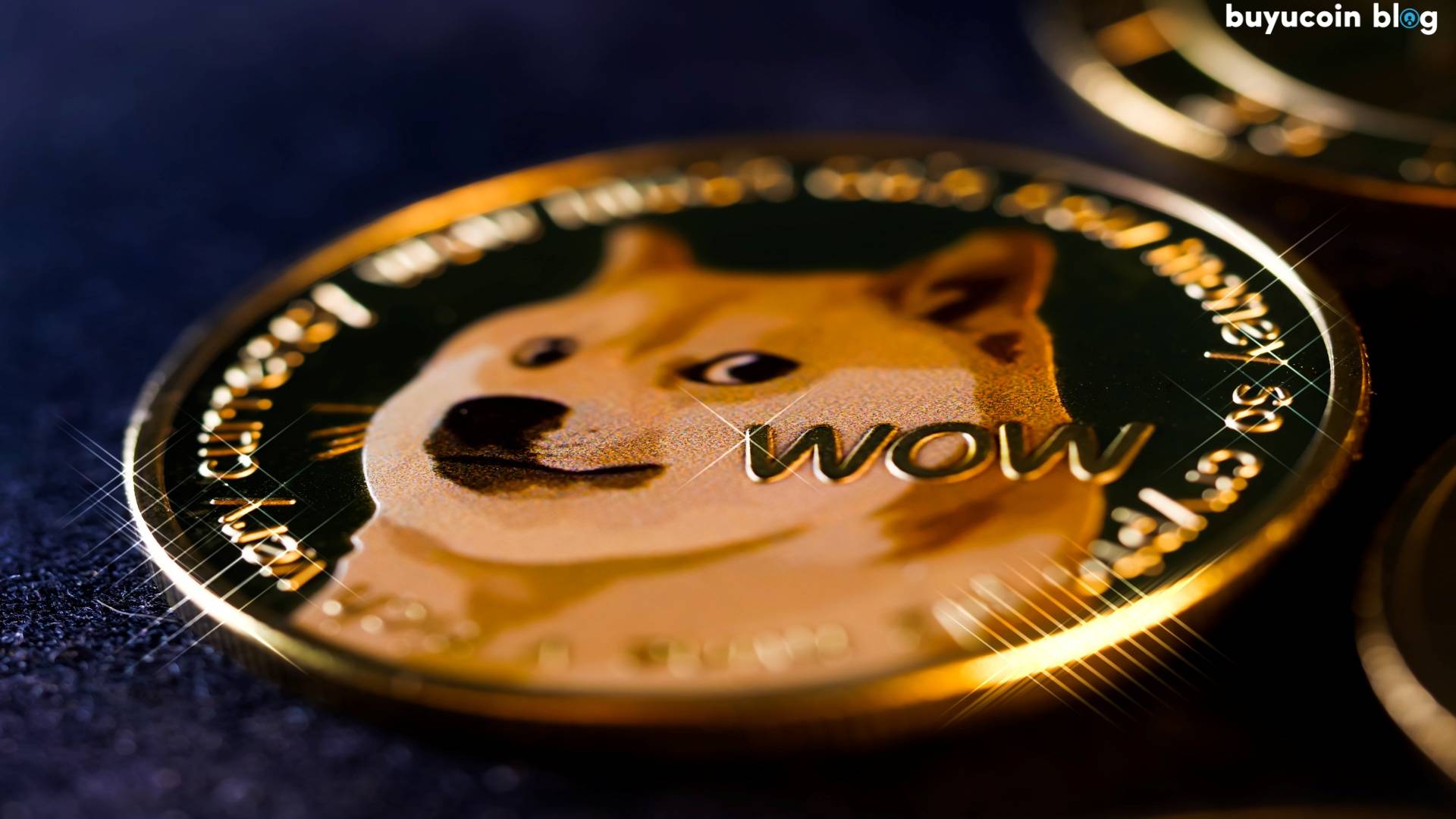 Tesla Will Begin Accepting Dogecoin As A Payment For Its Product