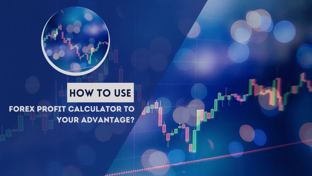 How To Use A Forex Profit Calculator To Your Advantage? e61288d8 4118 4593 8baf caf5b6ef0510 | BuyUcoin